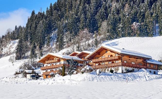 Alpin Apart Flachau Bagian luar foto