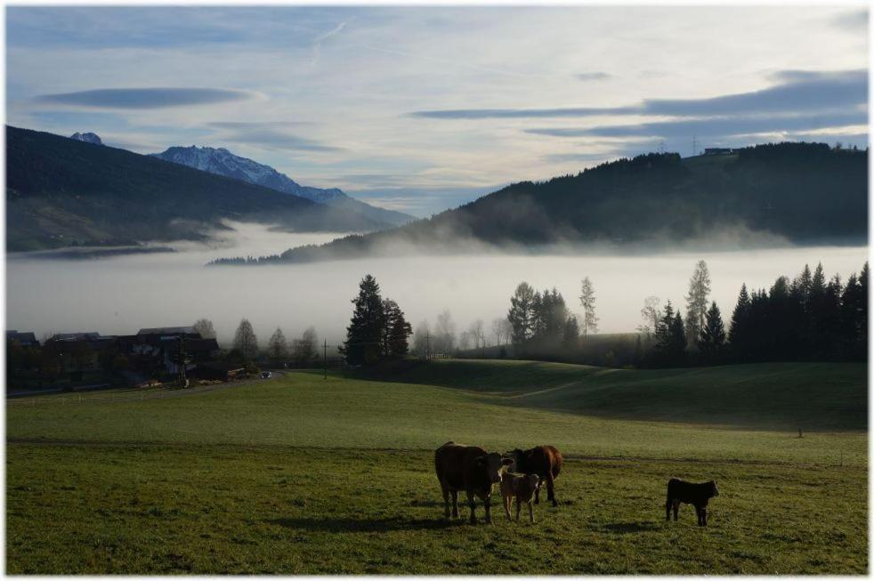 Alpin Apart Flachau Bagian luar foto
